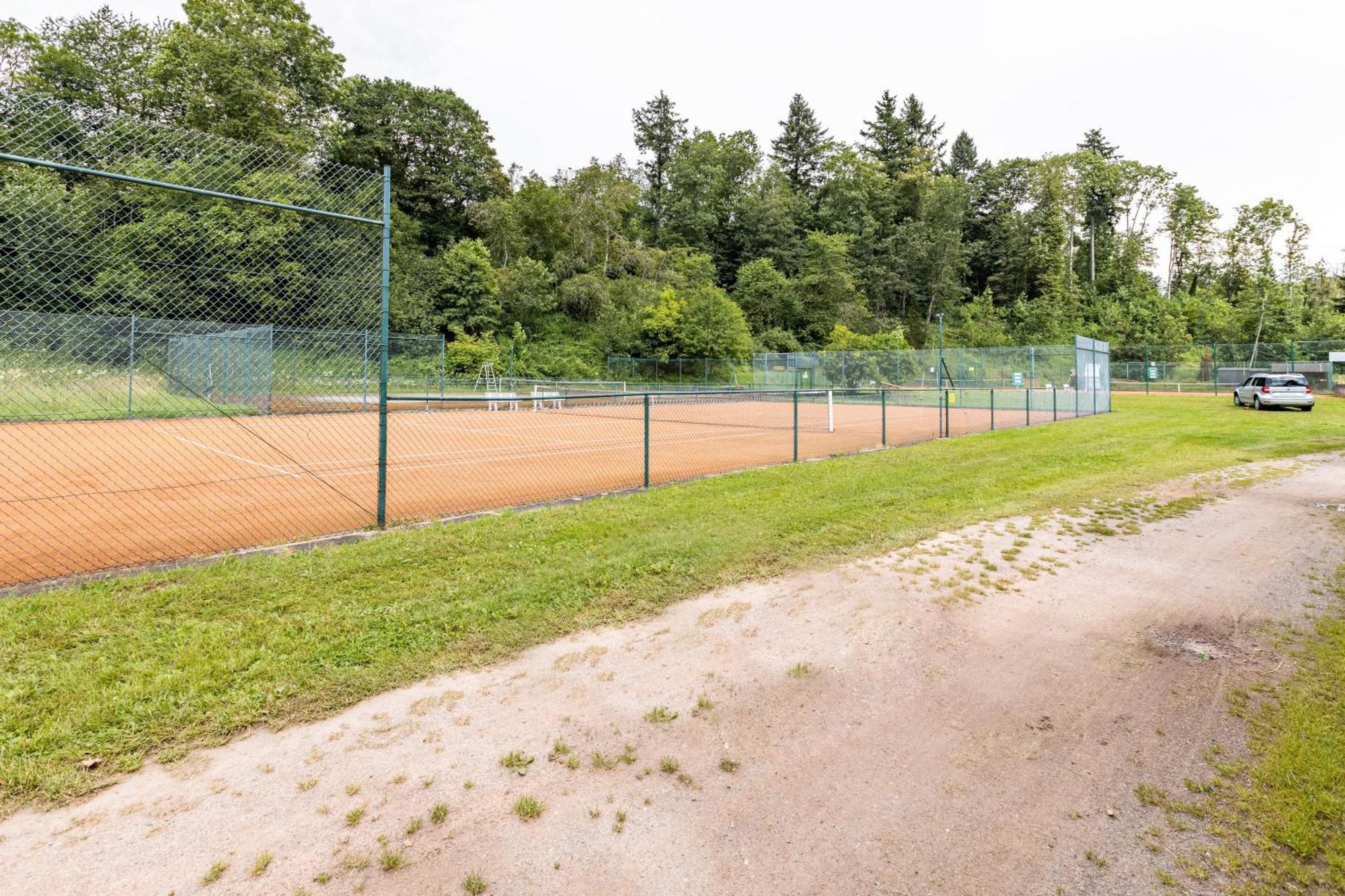Ferienhaus Muelhaupt Ühlingen-Birkendorf Kültér fotó