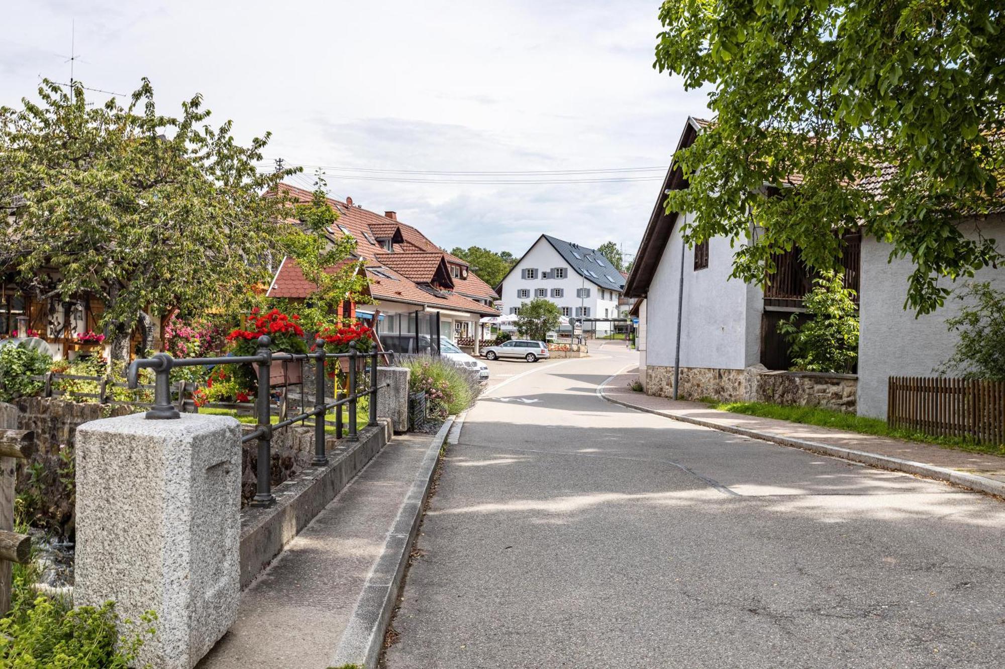 Ferienhaus Muelhaupt Ühlingen-Birkendorf Kültér fotó